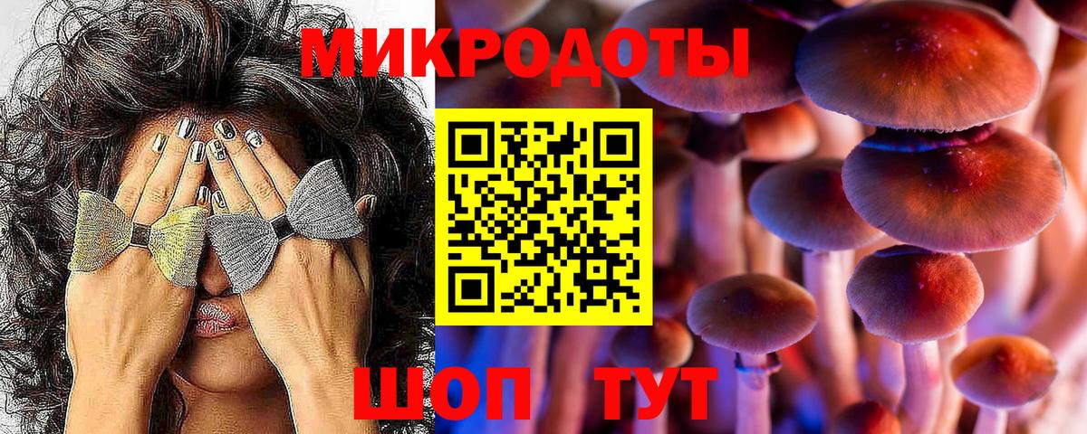Псилоцибиновые грибы мухоморы Артёмовский