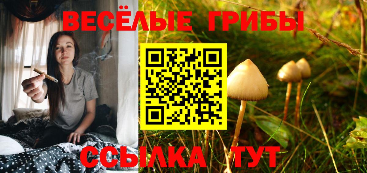 Галлюциногенные грибы Magic Shrooms  Вход с VPN  Галлюциногенные грибы Cubensis  Артёмовский 